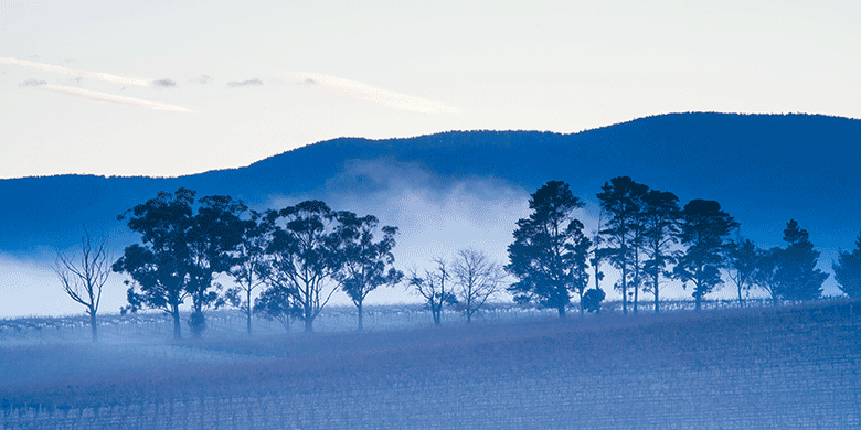 frosty australian morning